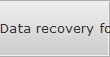 Data recovery for Hoover data