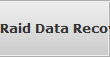 Raid Data Recovery Hoover raid array